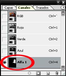 cargar seleccion