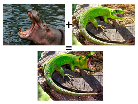 montaje